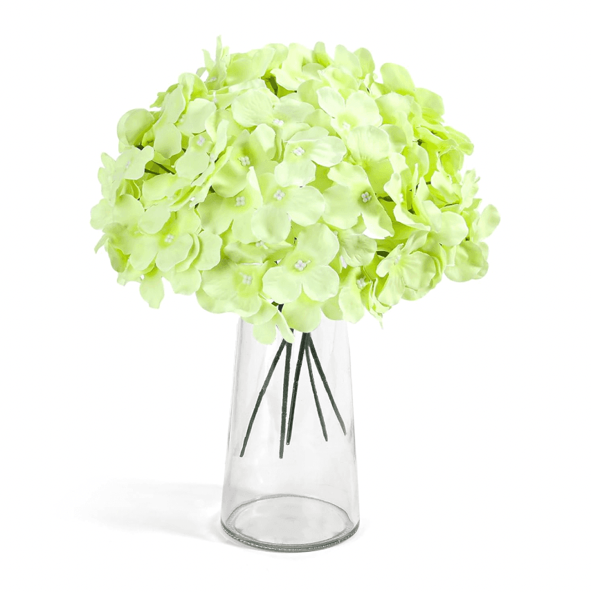 Hydrangeas, Light Green (64 stems)