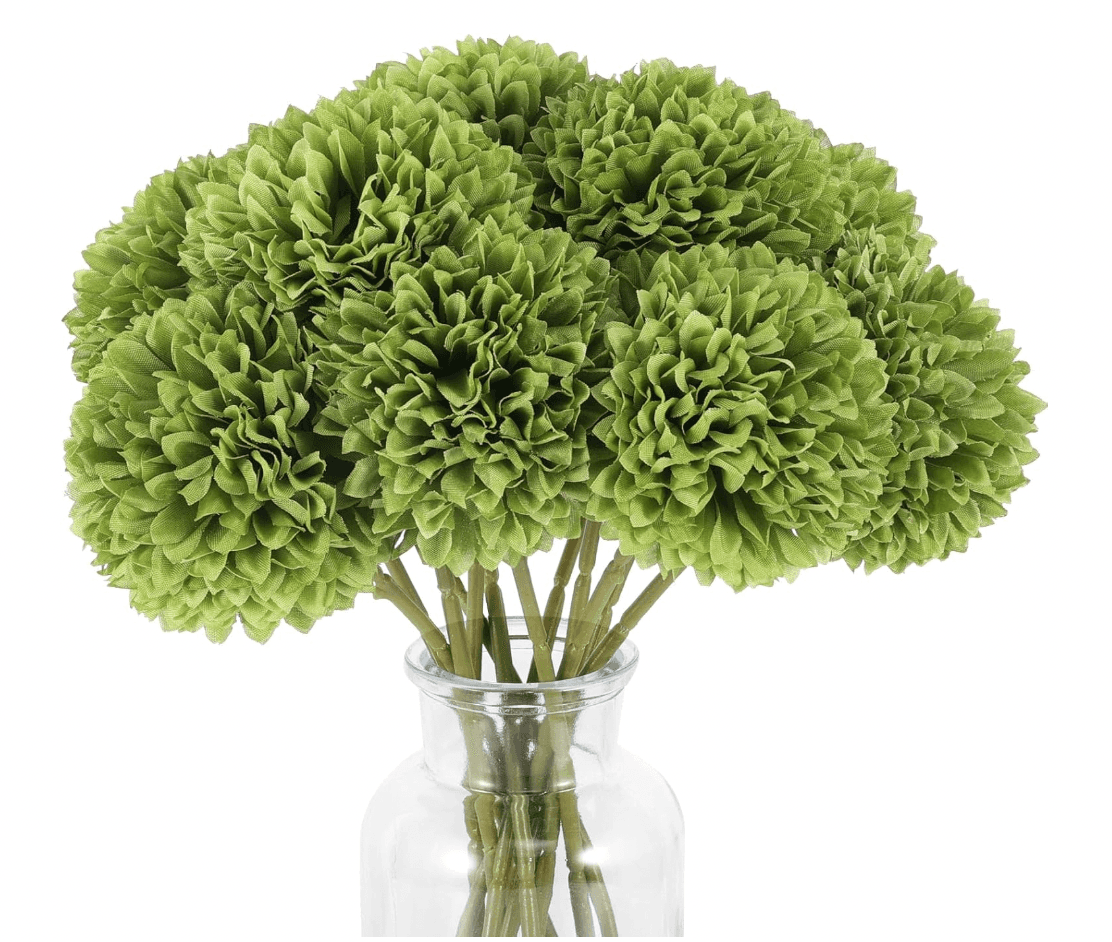 Chrysanthemums, Green (12 stems)