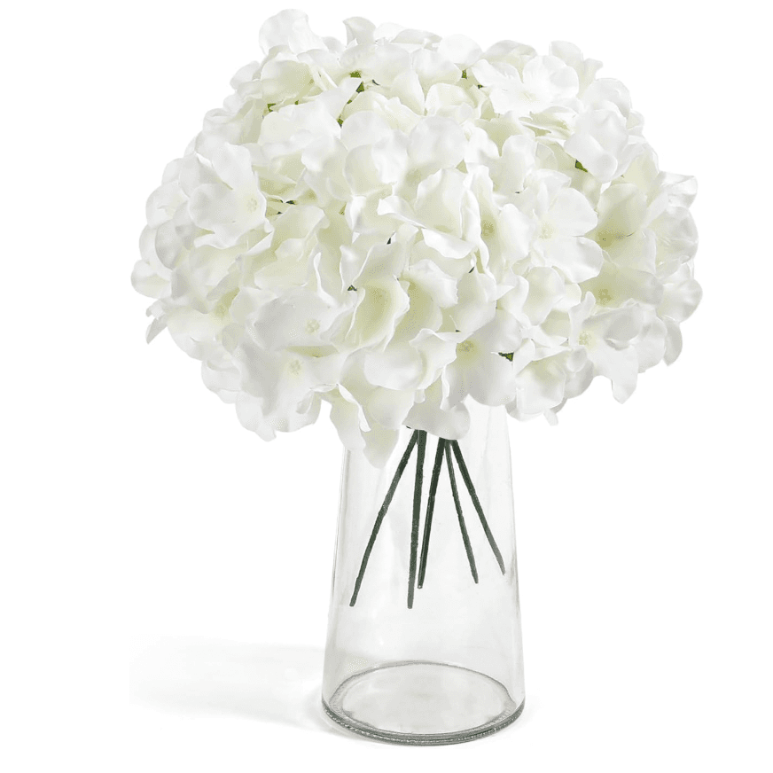 Hydrangeas, White (64 stems)