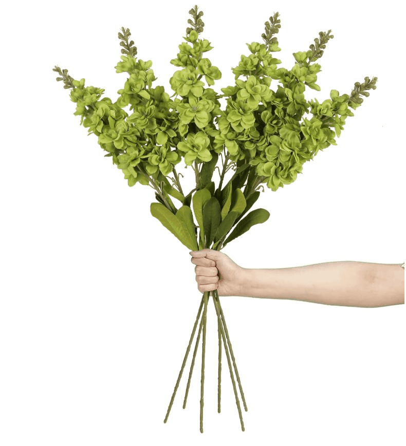 Snapdragon, Green (6 stems)