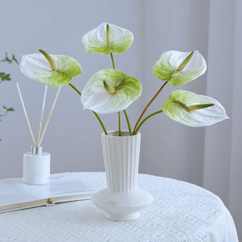 Anthurium Lily (10 stems)